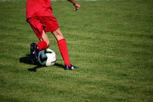 开云体育网页版-意甲裁判语义辅助判罚系统提升比赛公平性研究，意甲裁判球衣赞助商